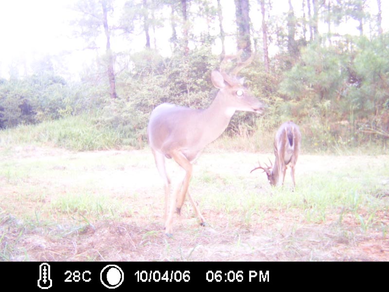 ICAM0045