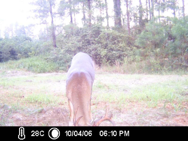ICAM0046