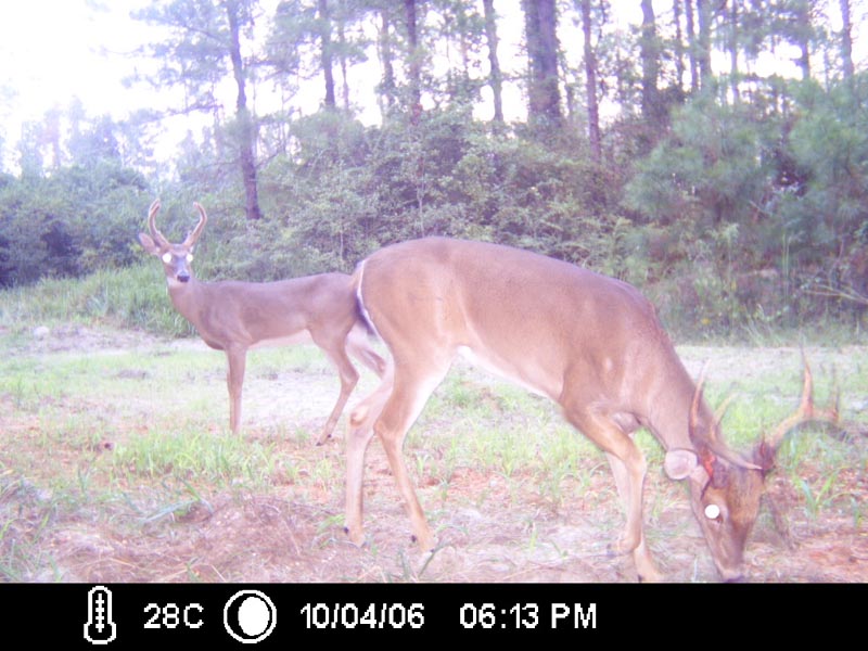 ICAM0047