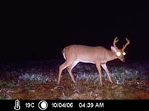 ICAM0043