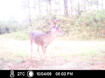 ICAM0044