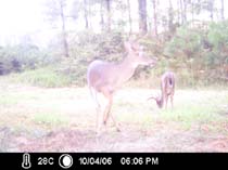 ICAM0045