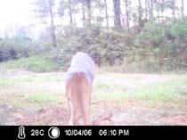 ICAM0046