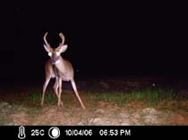 ICAM0049